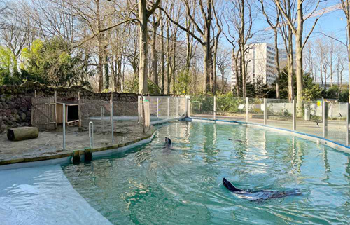 Neubau der Robbenanlage im Zoo Dortmund, 1. BA Ausweichanlage